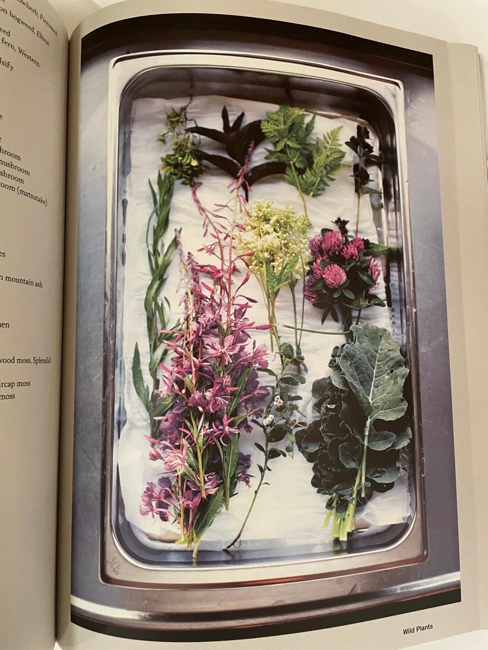 Fäviken Magnus Nilsson Phaidon Faviken: Nilsson, Magnus, Kroon, Mattias, Buford, Bill